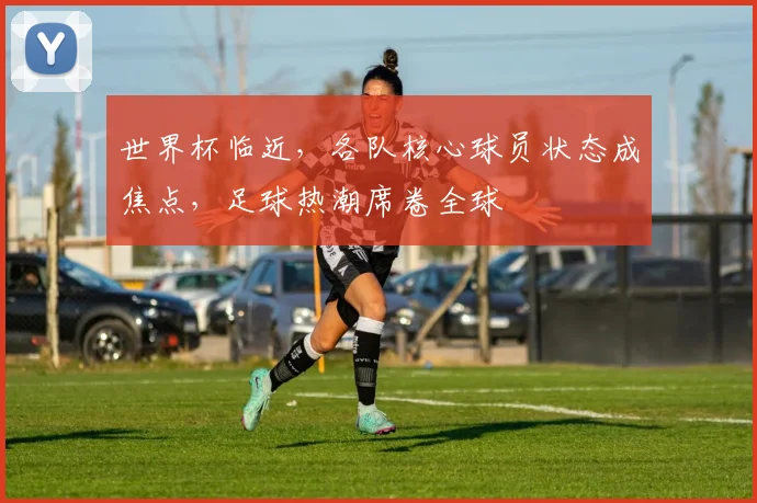世界杯临近，各队核心球员状态成焦点，足球热潮席卷全球
